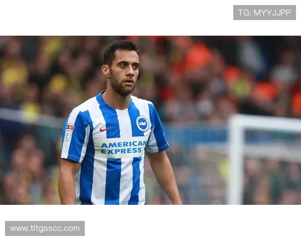 布莱顿足球俱乐部最新动态：球队表现回顾与未来赛季展望